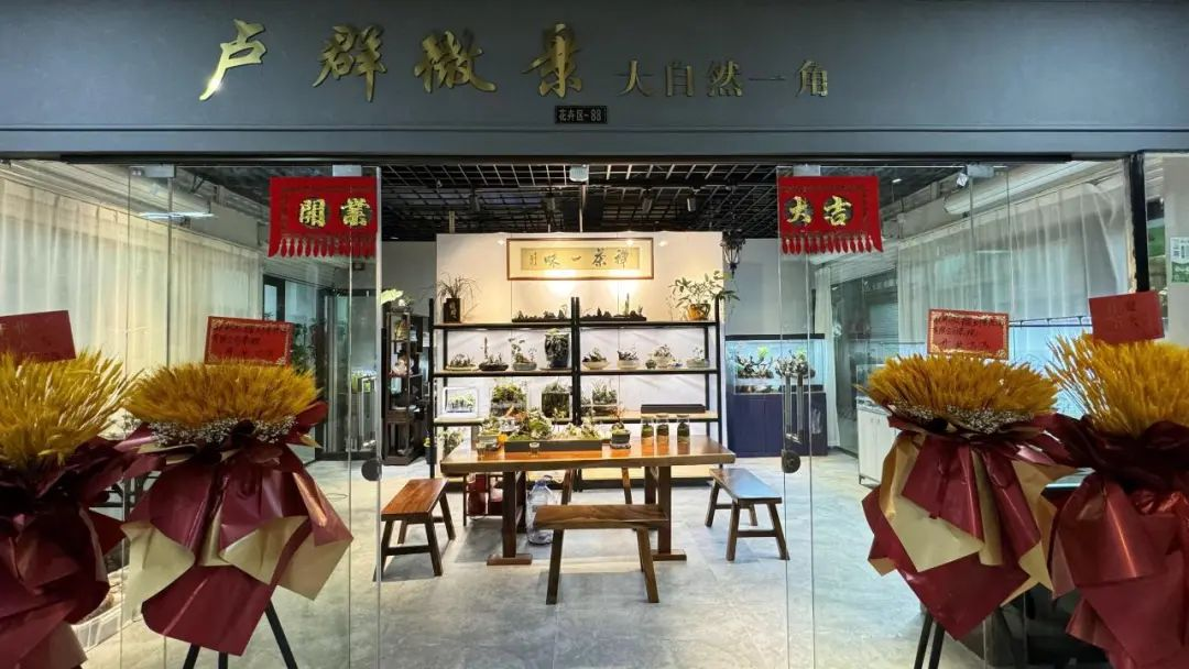 錢江商城盧群微景盛大開(kāi)業(yè)